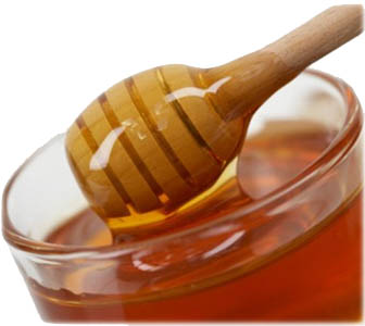 IS HONEY PALEO?