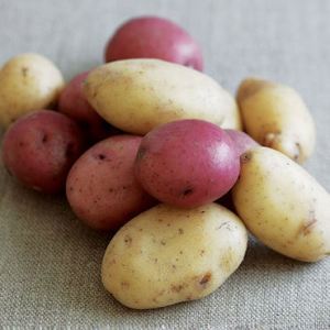 ARE NEW POTATOES PALEO?